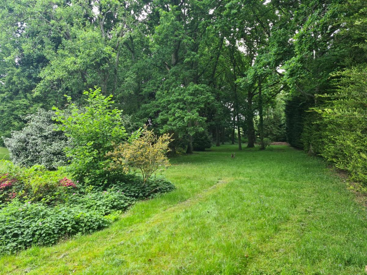 The Reading Whole Apartment With Private Lake And Gardens Buitenkant foto