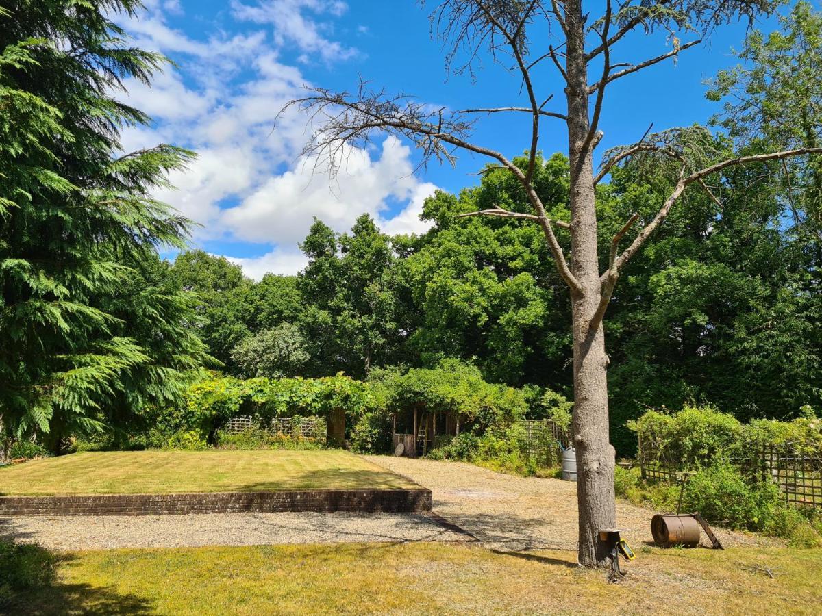 The Reading Whole Apartment With Private Lake And Gardens Buitenkant foto