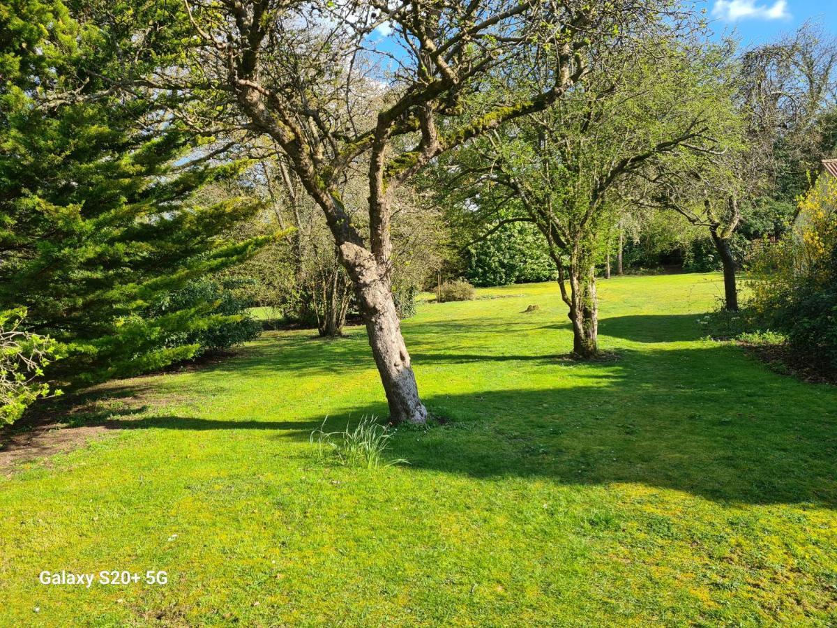 The Reading Whole Apartment With Private Lake And Gardens Buitenkant foto